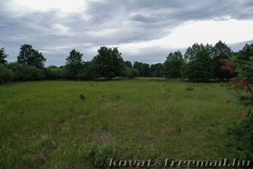 Kaszópuszta 2020.06.25.