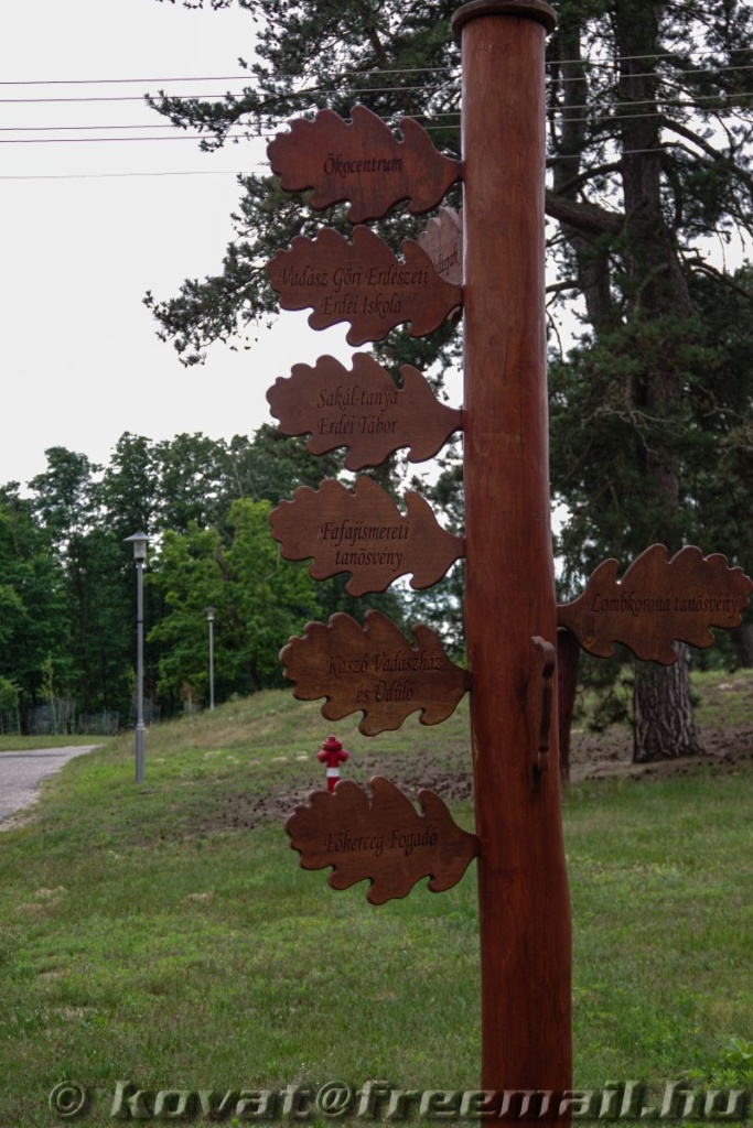 Kaszópuszta 2020.06.25.