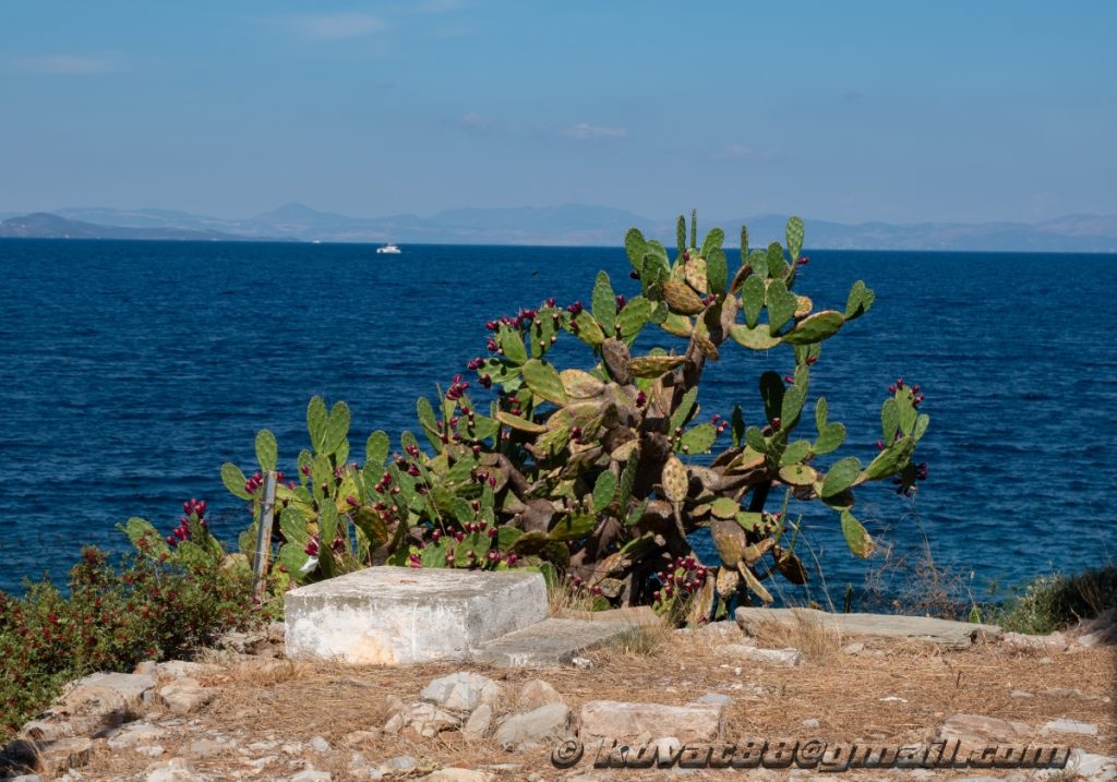 Trikeri Lighthouse - N 39.096951, E 23.050673