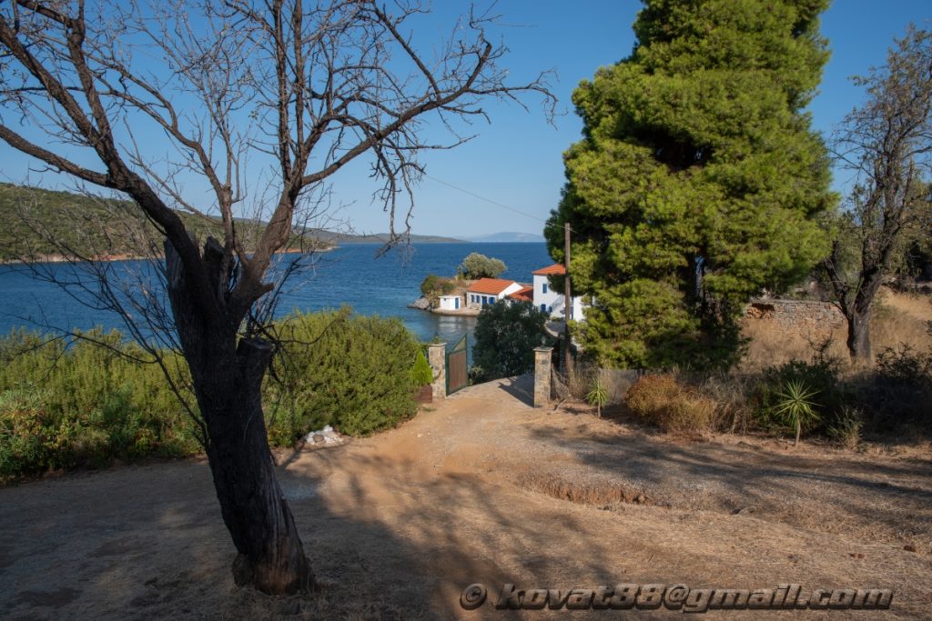 Paralia Tzasteni - N 39.126853, E 23.163098
