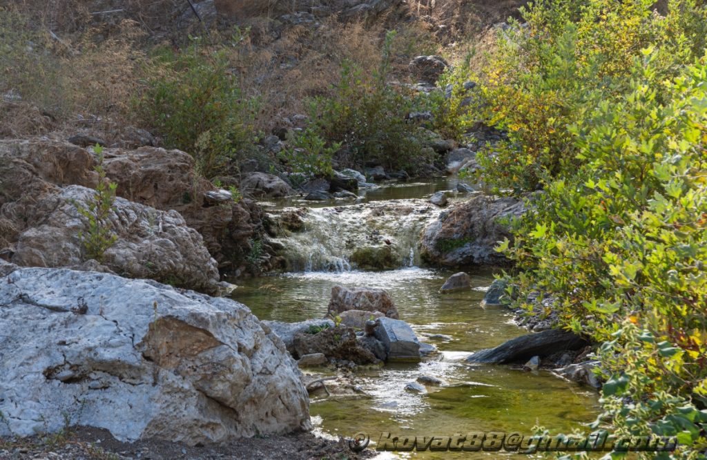 Potistika gulch - N 39.264199, E 23.281566