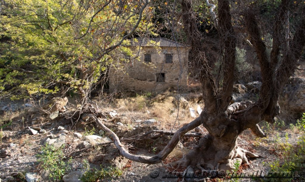 Potistika gulch - N 39.264199, E 23.281566