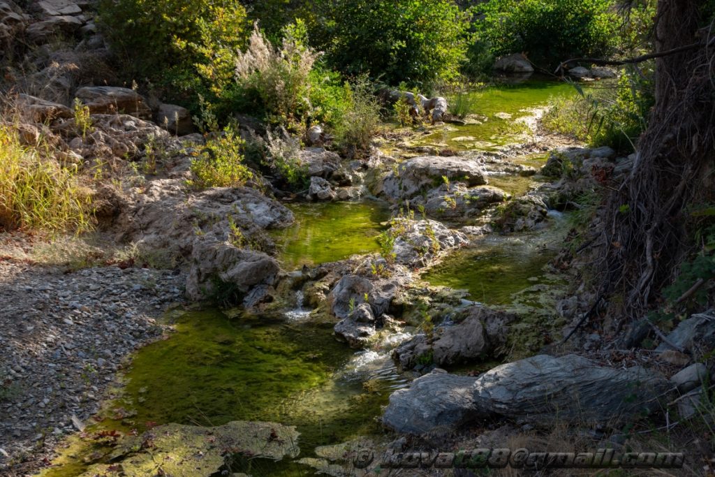 Potistika gulch - N 39.264199, E 23.281566