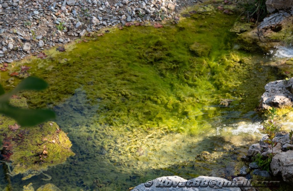 Potistika gulch - N 39.264199, E 23.281566