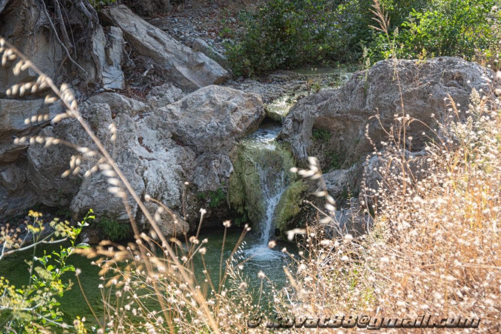 Potistika gulch - N 39.264199, E 23.281566