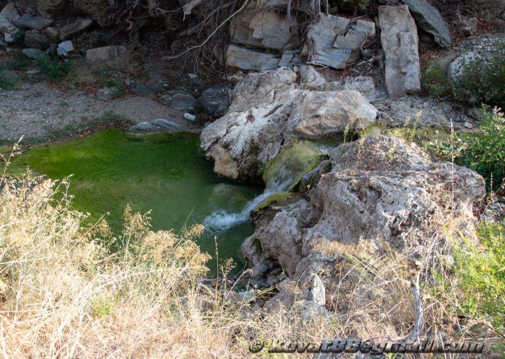 Potistika gulch - N 39.264199, E 23.281566