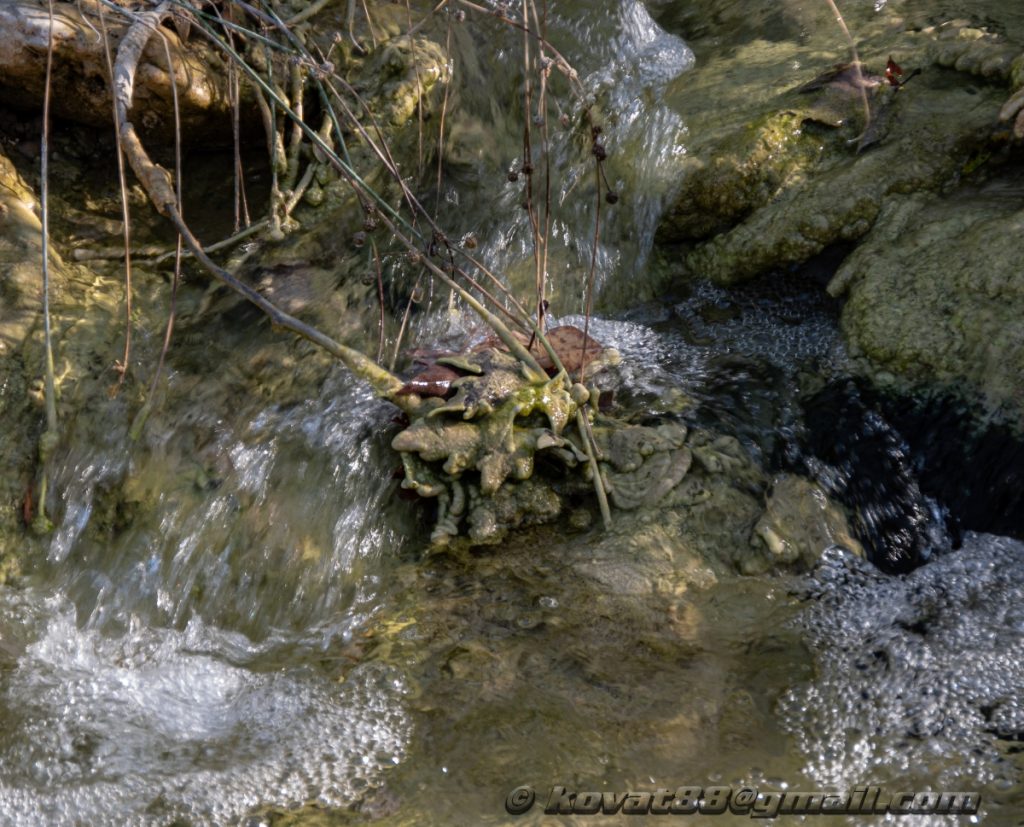 Potistika gulch - N 39.264199, E 23.281566