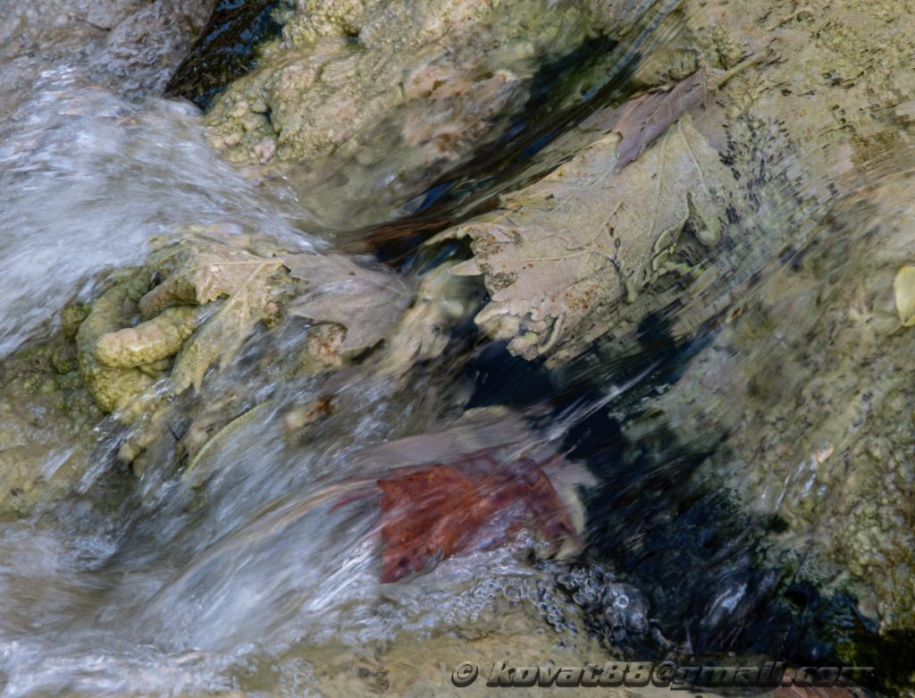 Potistika gulch - N 39.264199, E 23.281566