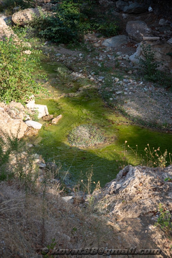 Potistika gulch - N 39.264199, E 23.281566
