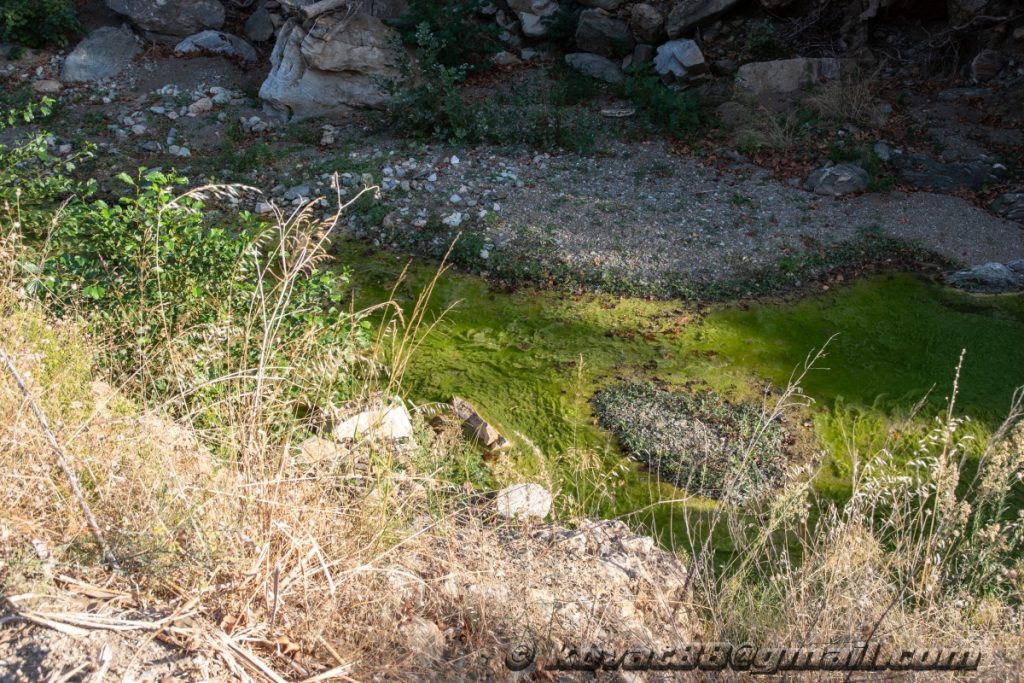 Potistika gulch - N 39.264199, E 23.281566