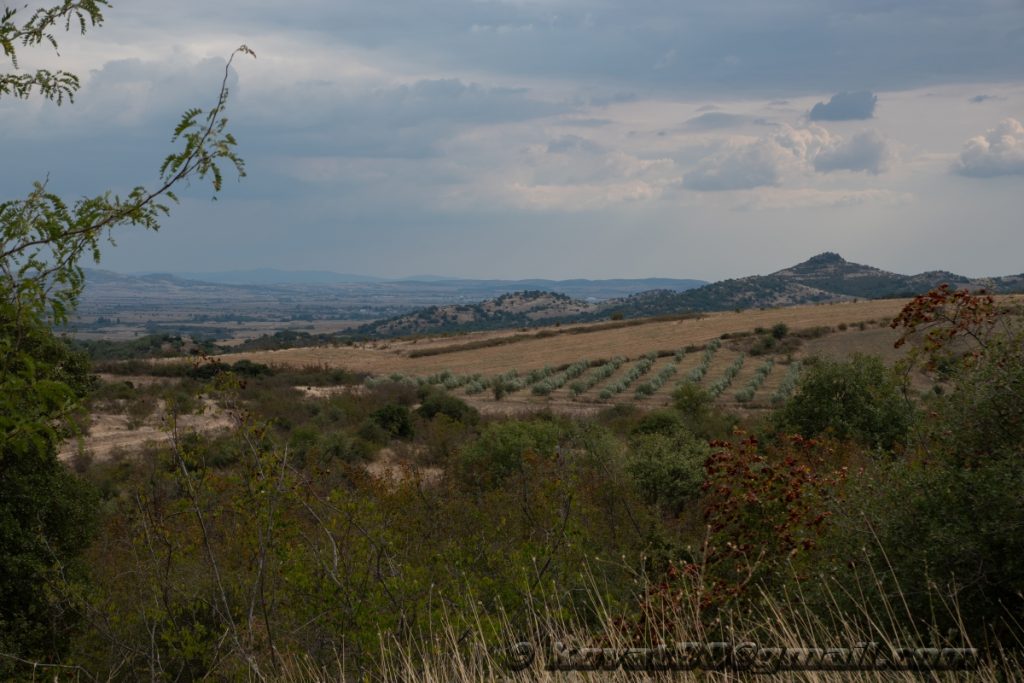 Dojran (Greece) - N 41.168162, E 22.762524