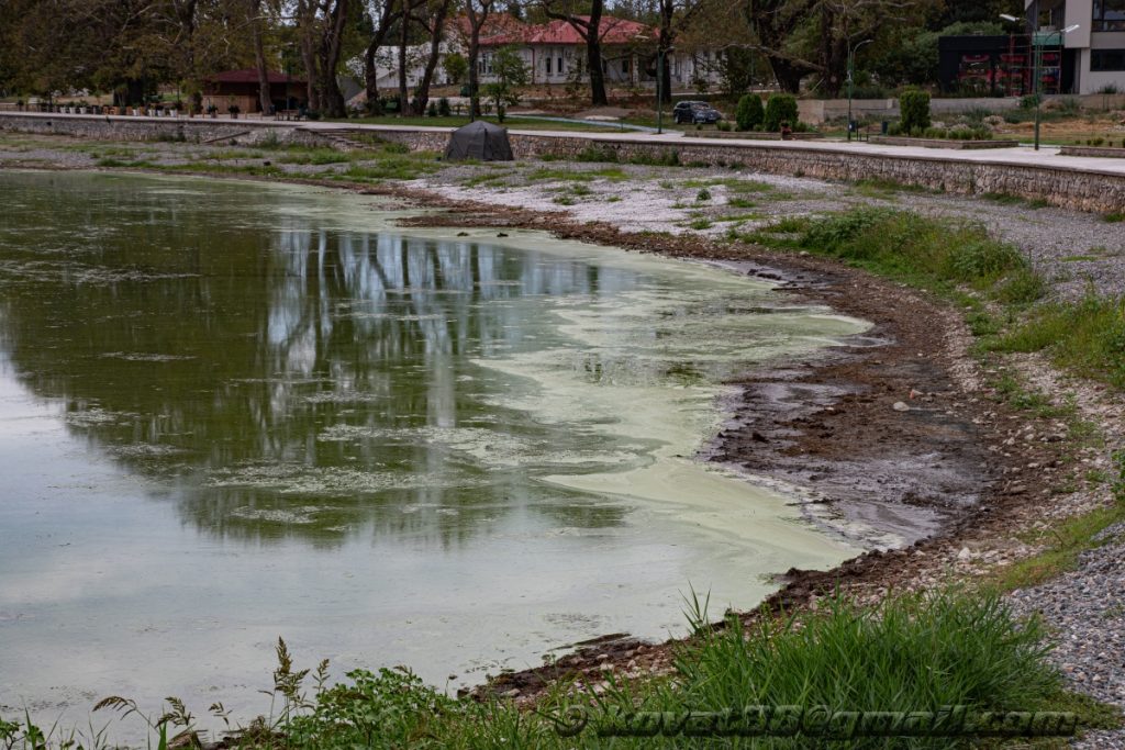 Dojran (North Macedonia)- N 41.173942, E 22.732124