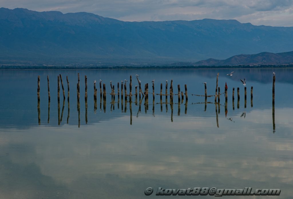 Dojran (North Macedonia)- N 41.173942, E 22.732124