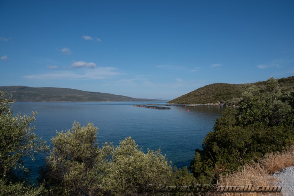 Milina - Trikeri road - N 39.120104, E 23.146896