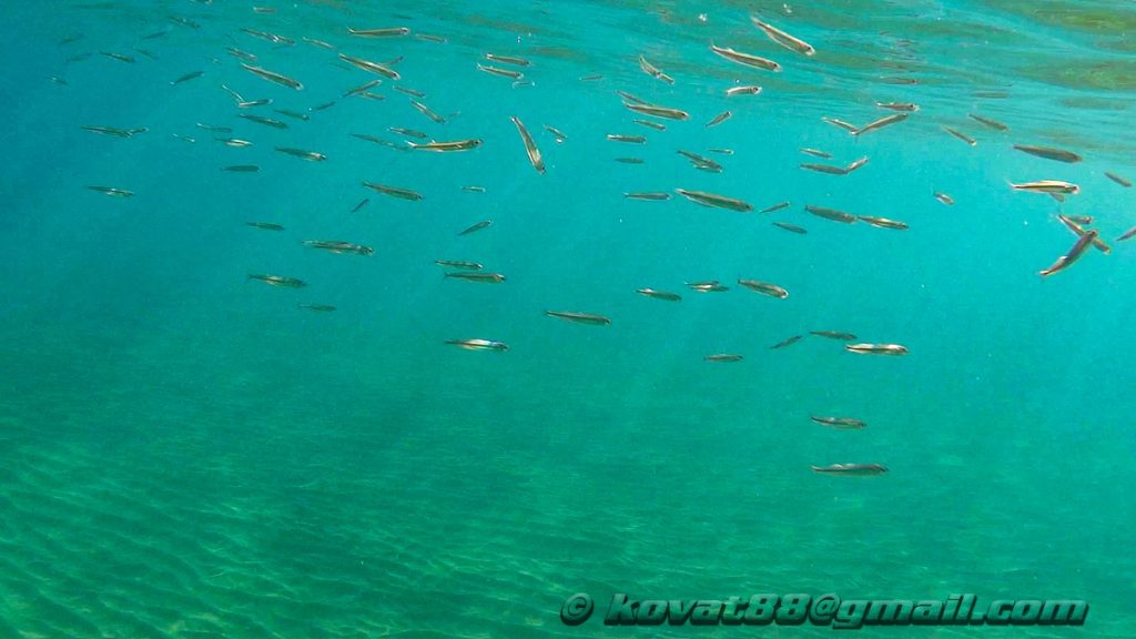 Potistika Beach - N 39.262696, E 23.293864