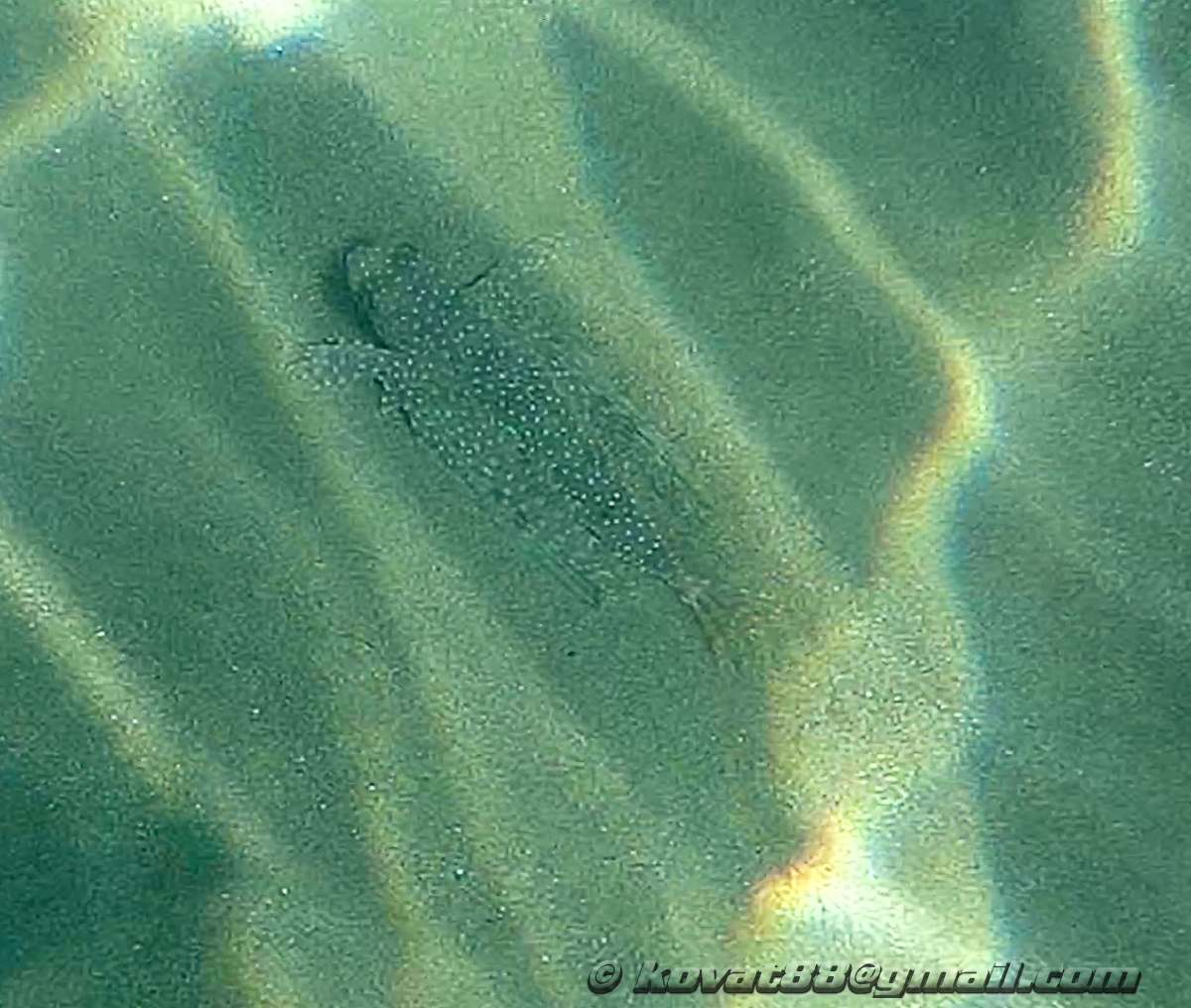 Potistika Beach - N 39.262696, E 23.293864