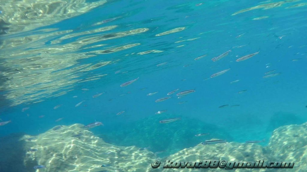 Potistika Beach - N 39.262696, E 23.293864