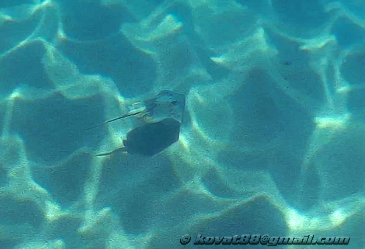 Potistika Beach - N 39.262696, E 23.293864
